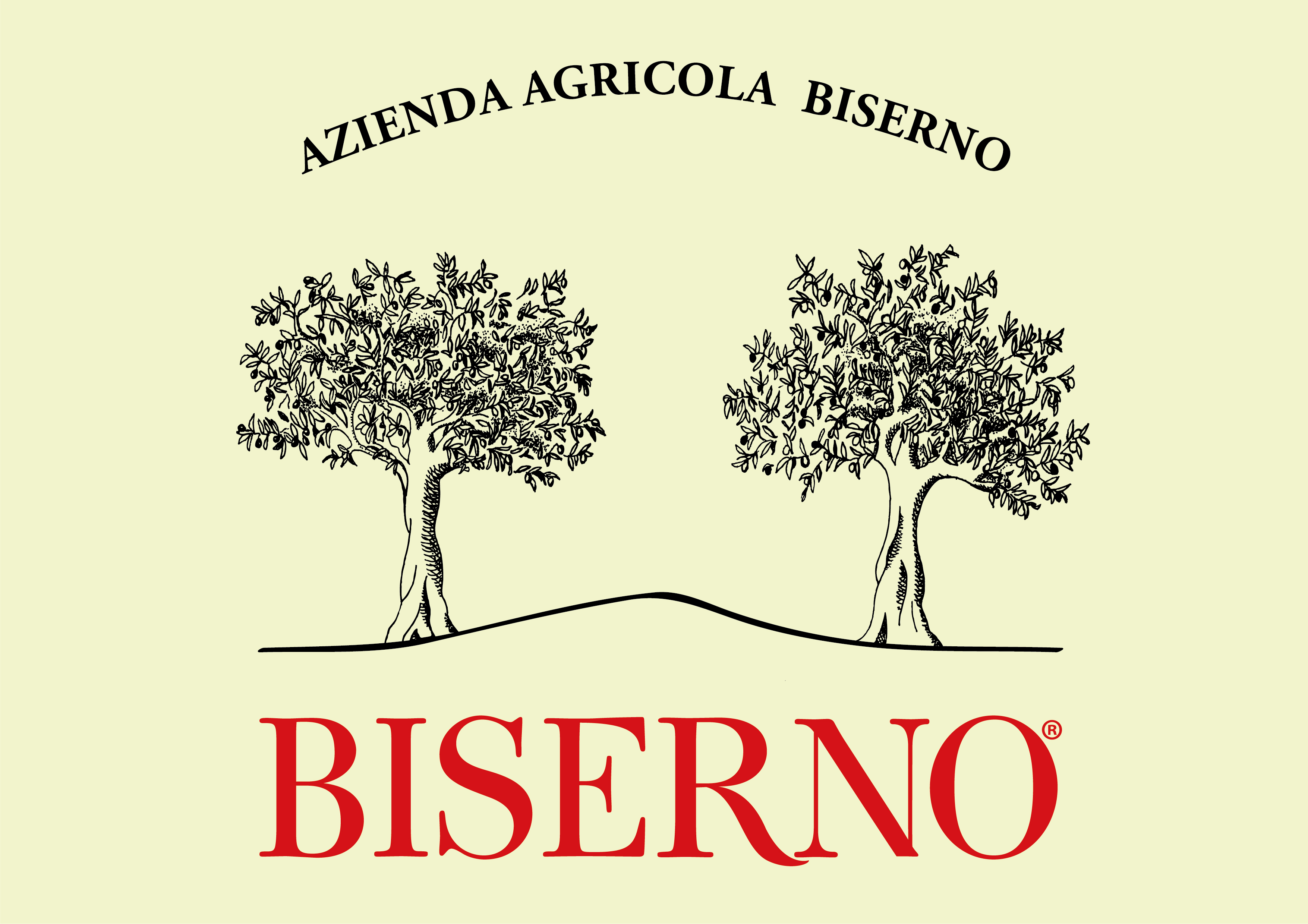 BISERNO MARCHIO FONDO GIALLO